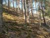 Vid milit�rf�rr�den kilometern norr om Ultuna �r �sens sida som brantast. H�r �r lutningen uppemot 45 grader! Vem sa att Uppland var platt?